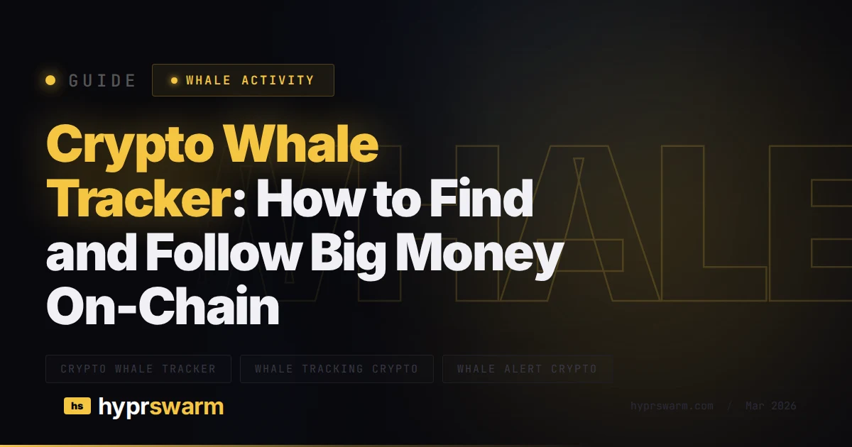 Crypto Whale Tracker: Best Tools Compared (2026)