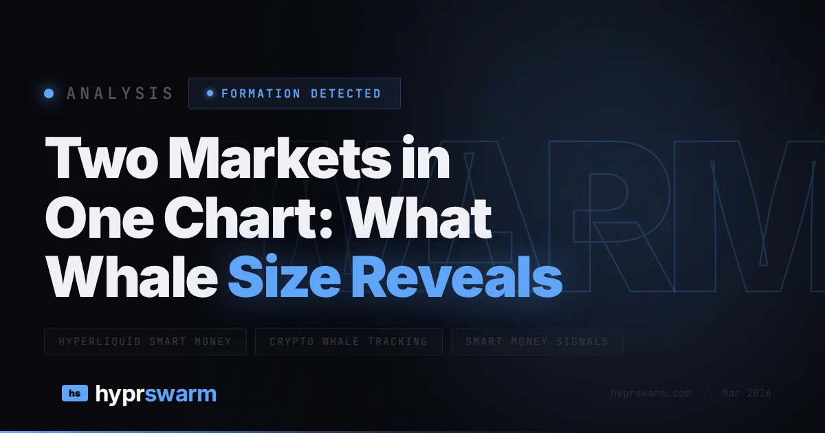 Two Markets in One Chart: What Whale Size Reveals